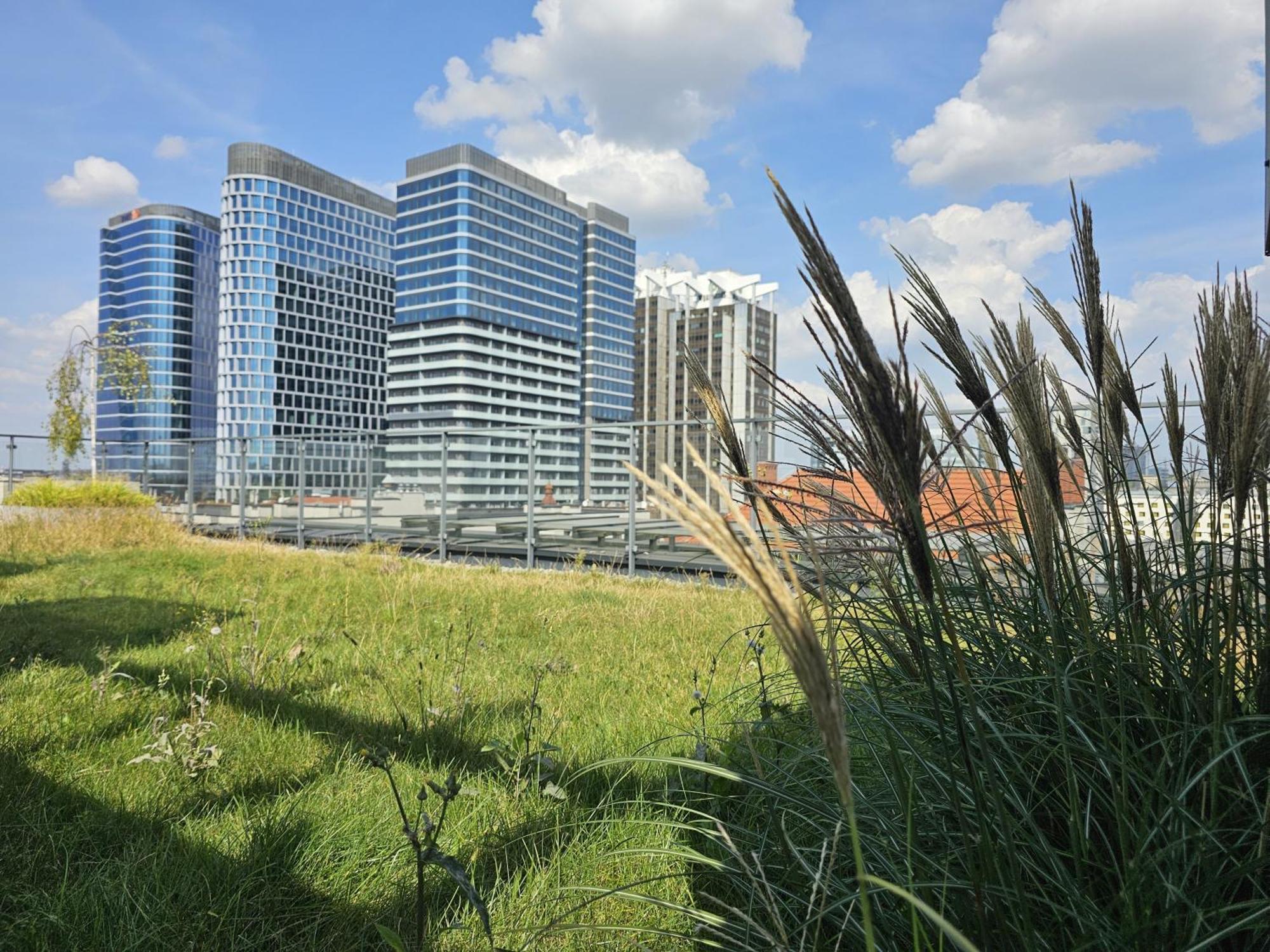 Urban Apartments Premium, Opolska 10 No 77A, Free Garage, Self Check-In Katoviçe Dış mekan fotoğraf